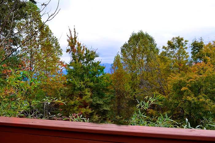 Lover'S Loft Gatlinburg Esterno foto